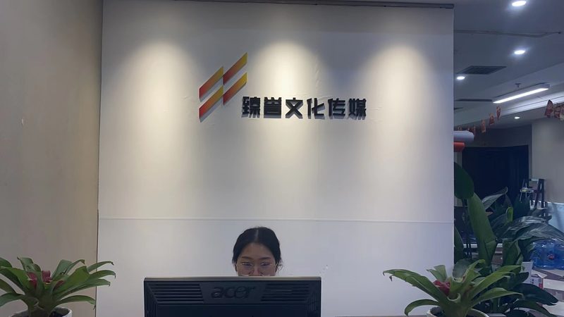 媒介投放策略：精准定位，高效传播